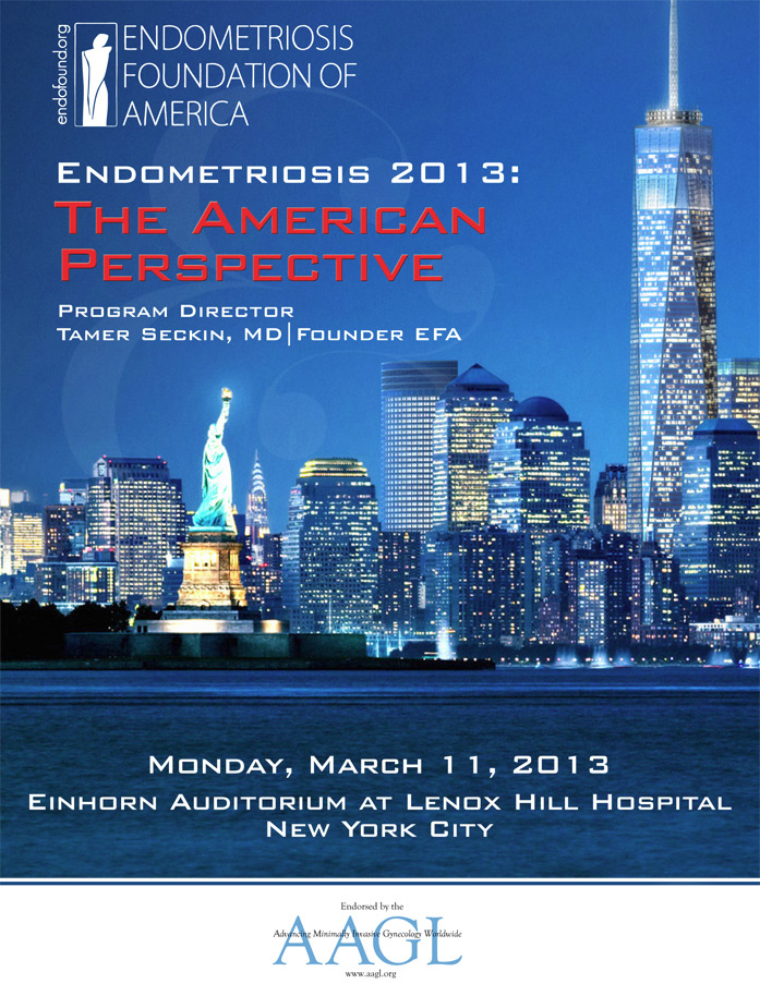 medical conference 2013 : american perspective, endometriosis foundation of america, dr Tamer seckin, drseckin, seckinmd medical conference 2013 : american perspective, endometriosis foundation of america, dr Tamer seckin, drseckin, seckinmd