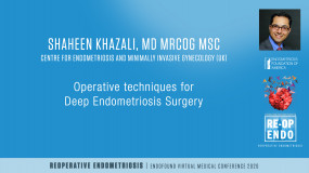 Operative techniques for Deep Endometriosis Surgery - Shaheen Khazali, MD?pop=on