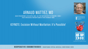 KEYNOTE: Excision Without Mutilation: It’s Possible! - Arnaud Wattiez, MD?