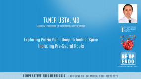 Exploring Pelvic Pain: Deep to Ischial Spine Including Pre-Sacral Roots - Taner Usta, MD?pop=on