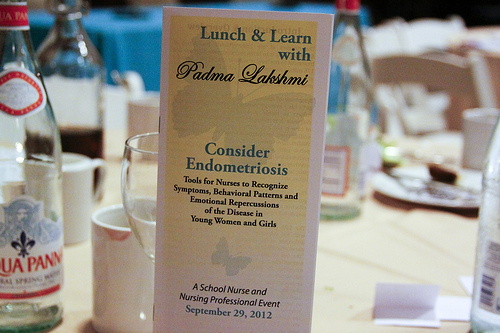 Tool Kit Launched at 2012 Nurse Conference / Lunch & Learn with Padma Lakshmi