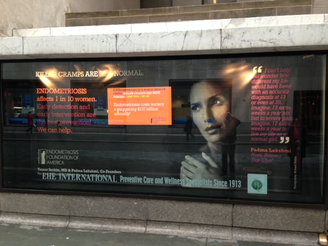 EHE International Donates Rockefeller Center Window Display to the Endometriosis Foundation of America’s “Killer Cramps Are NOT Normal” Campaign 