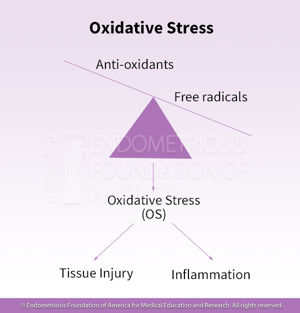 Oxidative stress from an abundance
