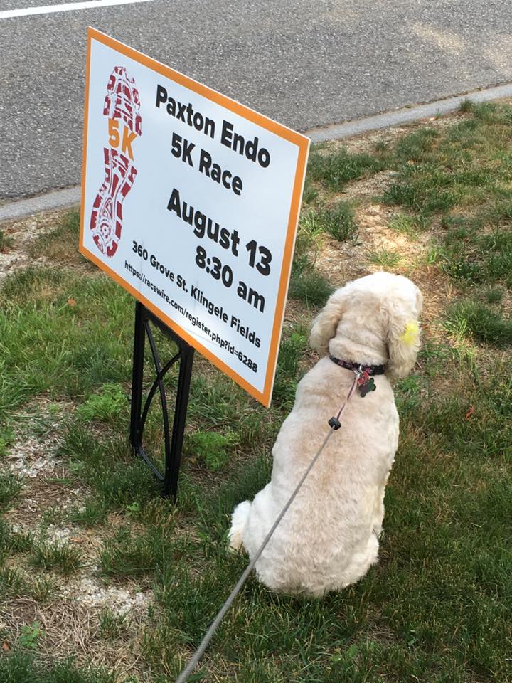 Paxton_sign