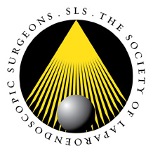www.sls.org encourages learning and Open Access in MIS