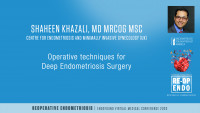 Operative techniques for Deep Endometriosis Surgery - Shaheen Khazali, MD