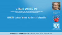 KEYNOTE: Excision Without Mutilation: It’s Possible! - Arnaud Wattiez, MD