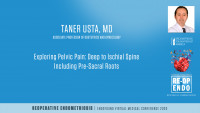 Exploring Pelvic Pain: Deep to Ischial Spine Including Pre-Sacral Roots - Taner Usta, MD