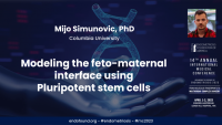 Modeling the feto-maternal interface using pluripotent stem cells - Mijo Simunovic, PhD
