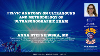 Pelvic Anatomy on Ultrasound and Methodology of Ultrasonographic Exam - Anna Stepniewska, MD