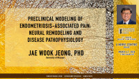 Jae Wook Jeong, PhD - Preclinical Modeling of Endometriosis-Associated Pain: Neural Remodeling and Disease Pathophysiology