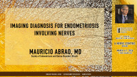 Mauricio Abrao, MD - Imaging Diagnosis for Endometriosis Involving Nerves