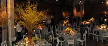 Blossom Ball 2011