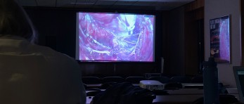 Live Surgery 2019 by Mario Malzoni