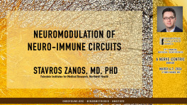 Stavros Zanos, MD, PhD - Neuromodulation of neuro-immune circuits