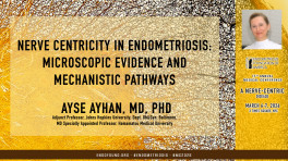Ayse Ayhan, MD, PhD - Nerve Centricity in Endometriosis: Microscopic Evidence and Mechanistic Pathways