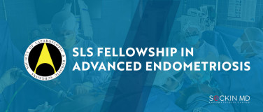 SLS Endometriosis Fellowship?