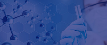 EndoFound Research Grants?