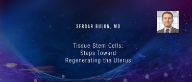Serdar Bulun, MD - Tissue Stem Cells: Steps Toward Regenerating the Uterus?