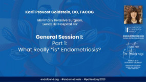 What Really *is* Endometriosis? - Karli Provost Goldstein, DO, FACOG