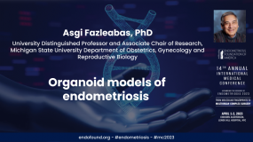 Organoid models of endometriosis - Asgi Fazleabas, PhD?