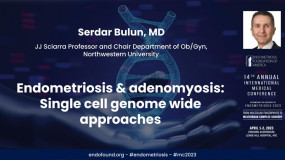 Endometriosis & adenomyosis: Single cell genome wide approaches - Serdar Bulun, MD?