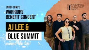 AJ Lee & Blue Summit - Warriors benefit concert II
