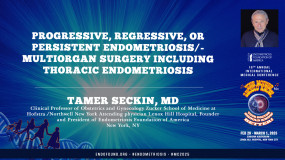 Progressive, Regressive, or Persistent Endometriosis/Multiorgan Surgery Including Thoracic Endometriosis - Tamer Seckin, MD