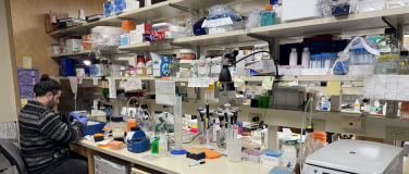 An Inside Look Into Endometriosis Research at Cold Spring Harbor Laboratory?