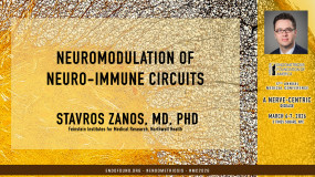 Stavros Zanos, MD, PhD - Neuromodulation of neuro-immune circuits?