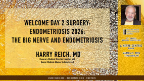 Harry Reich, MD - Endometriosis 2026: The Big Nerve and Endometriosis?