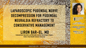 Liron Bar-el, MD - Laparoscopic Pudendal Nerve Decompression for Pudendal Neuralgia Refractory to Conservative Management