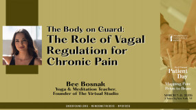 Bee Bosnak - The Body on Guard: The Role of Vagal Regulation for Chronic Pain?