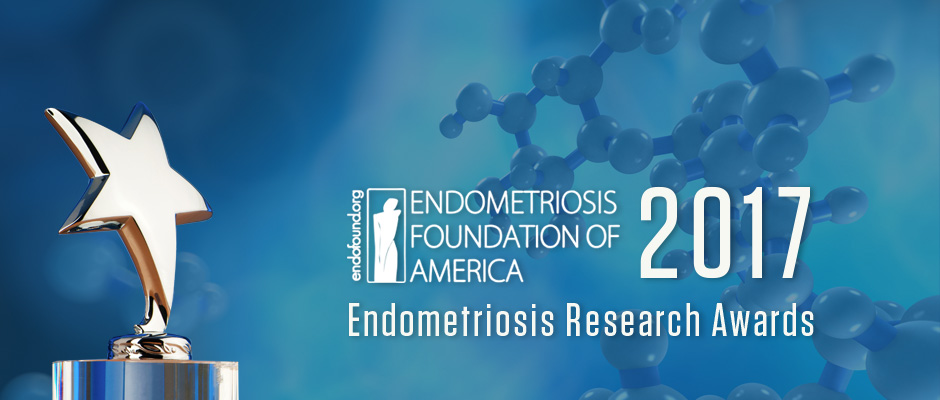 Endometriosis Research Awards 2017