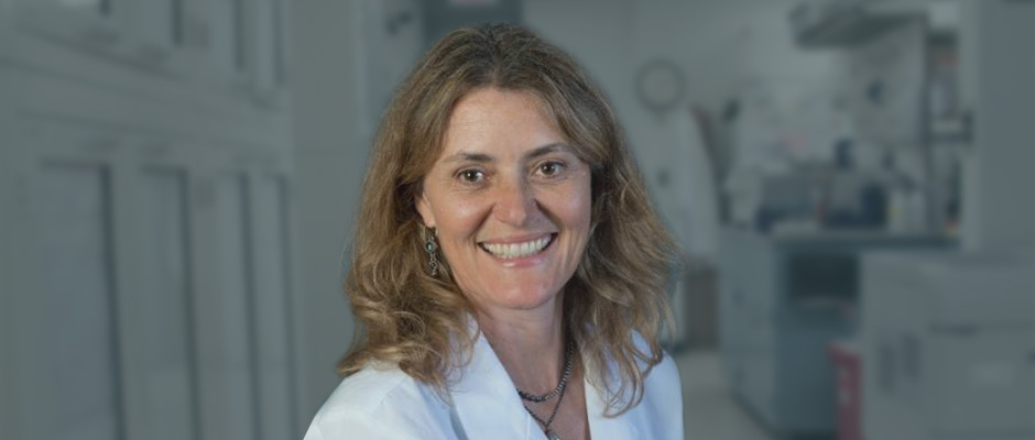 Is There A Link Between Leaky Gut and Endo? This Researcher Thinks So