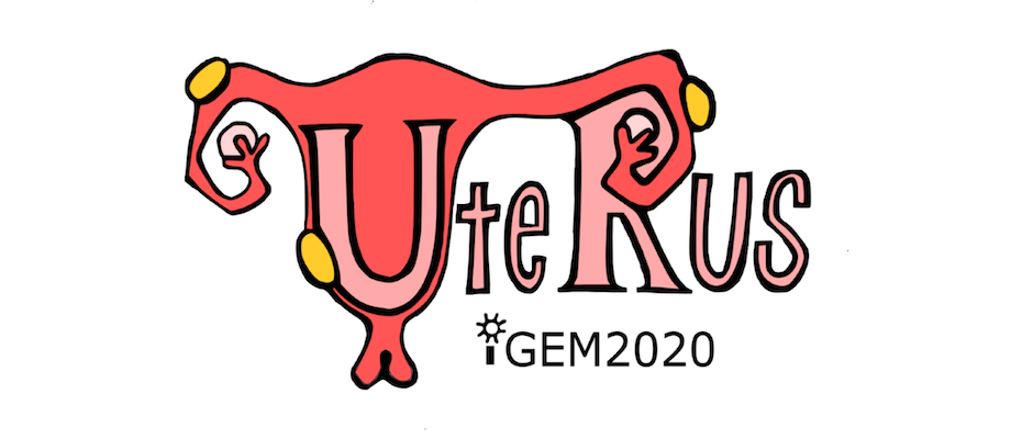 A New Endometriosis Project by University of Rochester Undergraduate Students