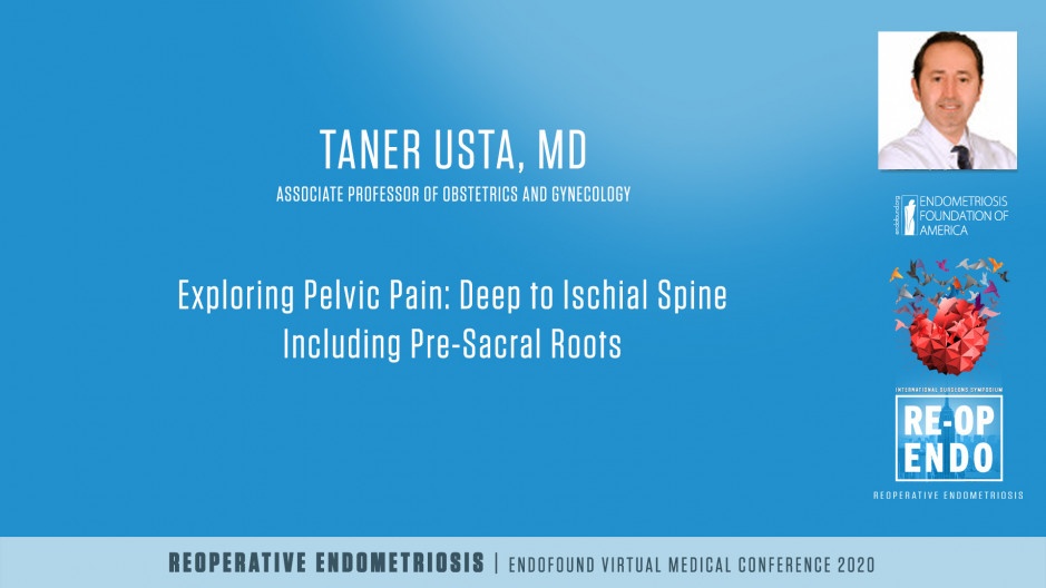 Exploring Pelvic Pain: Deep to Ischial Spine Including Pre-Sacral Roots - Taner Usta, MD