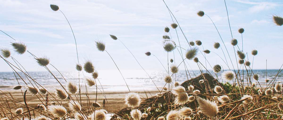 “We Must Do Better”: An Anonymous Endo Story