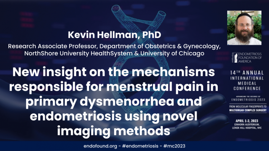 New insight on the mechanisms responsible for menstrual pain in primary dysmenorrhea  - Kevin Hellman, PhD