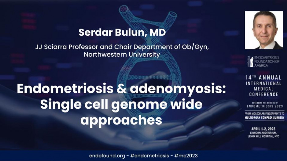 Endometriosis & adenomyosis: Single cell genome wide approaches - Serdar Bulun, MD