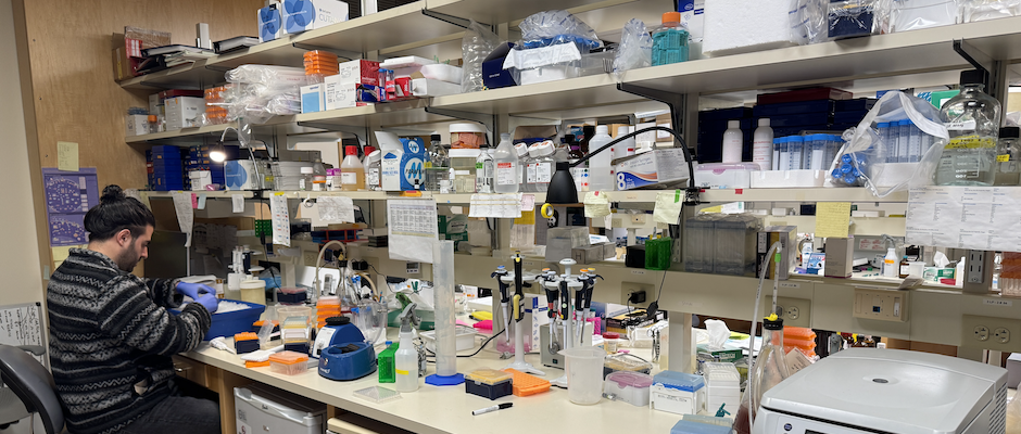 An Inside Look Into Endometriosis Research at Cold Spring Harbor Laboratory