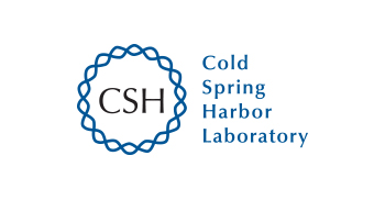 csh