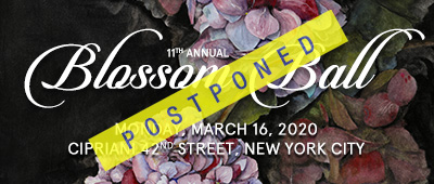 Blossom Ball - 2020 -Endometriosis Foundation of America's event
